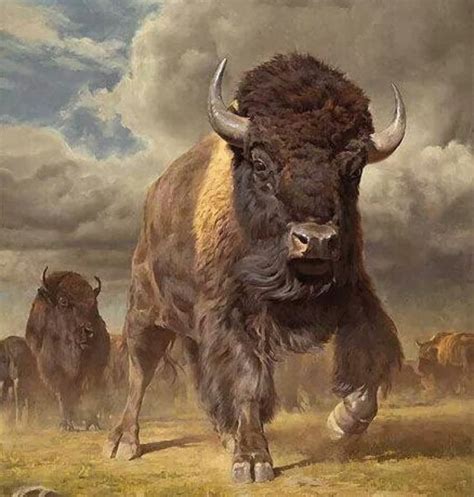 Pin By Kim Mcmilon On Native American Bison Art Buffalo Art