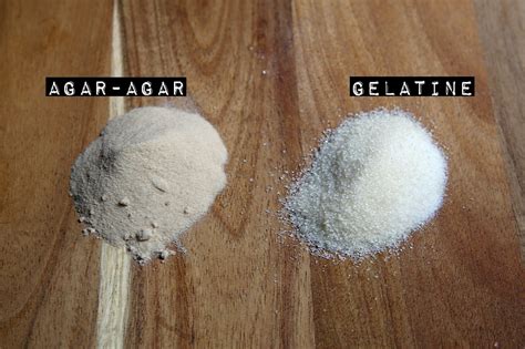 Gélatine et agar-agar Equivalence et utilisation
