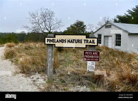 Pinelands Hi Res Stock Photography And Images Alamy