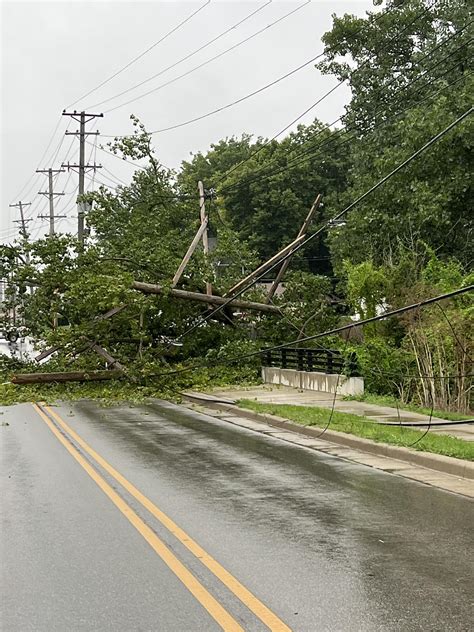 Tree Falls On Power Lines Causing Large Outage In Frankfort