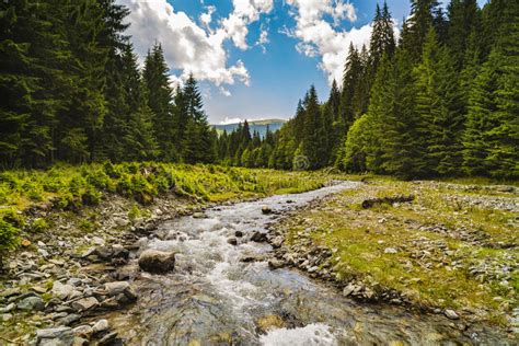 Beautiful Scenery With A Mountain River Stock Photo