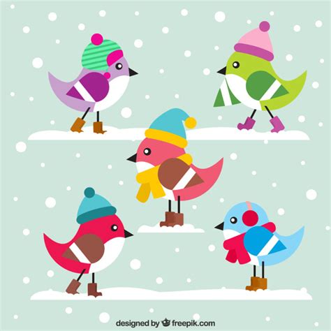 Free Vector Cute Colorful Birds With Hat