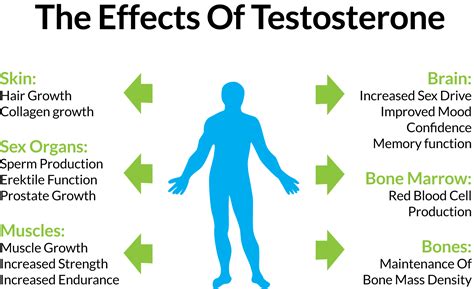 Testosterone, according to the national library of medicine, makes a man look and feel like a man. this important hormone, made by the testicles, plays a role in several body functions. 4 Effective Ways to Increase Testosterone