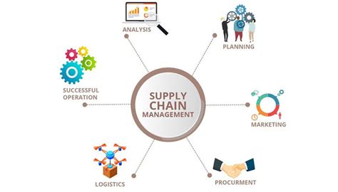 Career After Logistics And Supply Chain Management