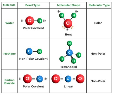 Covalent Bond Definition Examples Types Properties Faqs