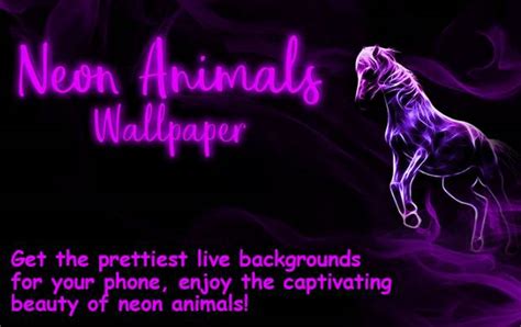 All the android emulators are completable for using neon animals wallpaper on windows 10, 8, 7, computers, and mac. Neon Animals Wallpaper All Wallpaper Unlcoked MOD APK