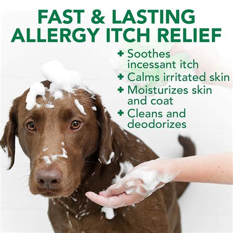 Vets Best Allergy Itch Relief Dog Shampoo 16 Oz