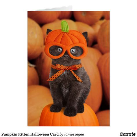 Pumpkin Kitten Halloween Card Chat Halloween Easy Halloween Halloween