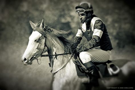 Race Horses 54ka Photo Blog