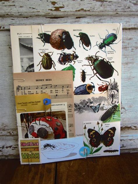 Bug Grunge Pack Vintage Paper Ephemera Lot Paper Pack Bug Etsy