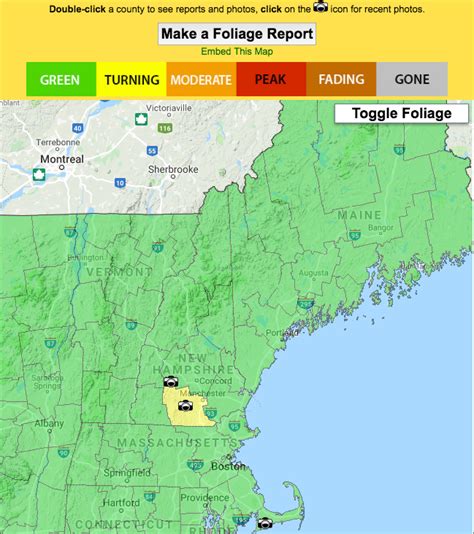 Live Fall Foliage Map New England Today