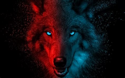 Wolf Wallpaper 4k Scary Gradient Dark Background Animals 4779
