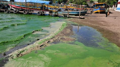 La Fórmula Mágica Para Limpiar Un Lago Que Desató Un Escándalo De