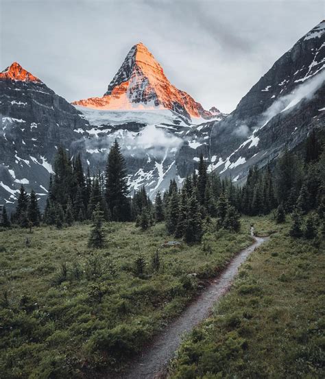 Mount Assiniboine Aka The Matterhorn Of The Canadian Rockies