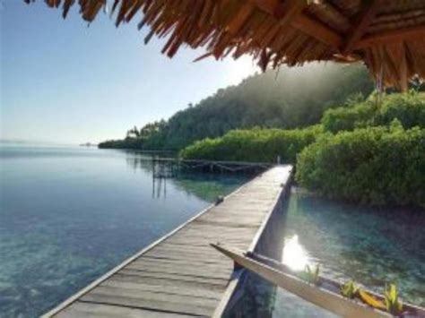 Raja Ampat Dive Lodge Resort Deals Photos And Reviews