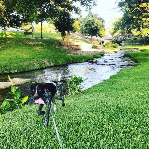 No, b&b san saba does not have a pool onsite. Our Favorite San Saba Hot Spots | Harry's Boots
