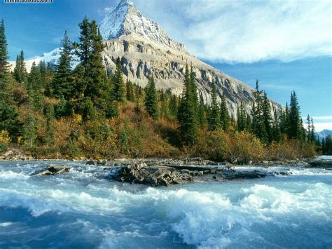 Mt Robson Wallpaper Free Wallpapers