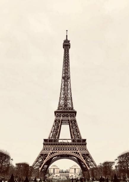 57500 Torre Eiffel Fotos Fotografías De Stock Fotos E Imágenes