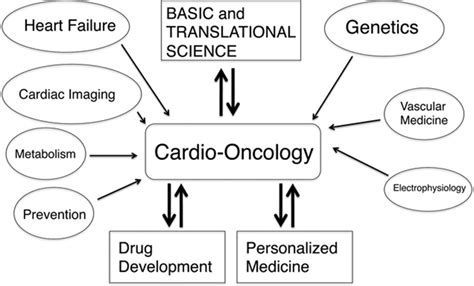 Cardio Oncology Circulation
