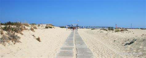 Histórias de pesca e encantos estivais. Praia da Ilha de Tavira (Mar) em Santa Maria, Tavira ...