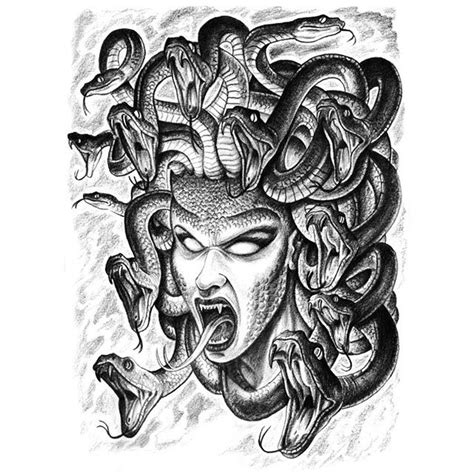 Medusa tattoo drawing by charlotte walle on dribbble. 10326575_773934799391165_1941198852_n.jpg (640×640 ...