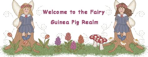 Fairy Guinea Pig Realm