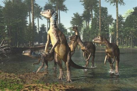 The Triassic Period First Dinosaurs