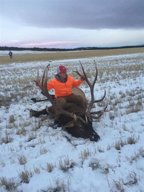 Young Hunter Bags Imperial Bull For First Elk Montana Hunting And