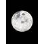Full Moon In Black Night Painting By Janice Dunbar