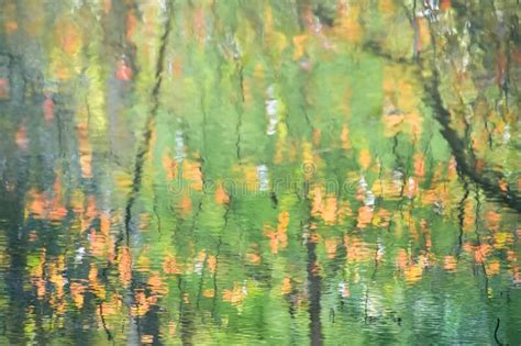 Abstract Autumn Leaves Trees Branches Water Reflection Stock Image Image Of Seasonal