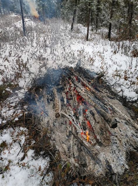 Slash Piles Near Cripple Creek Goldstream Ak Subdivisions To Burn