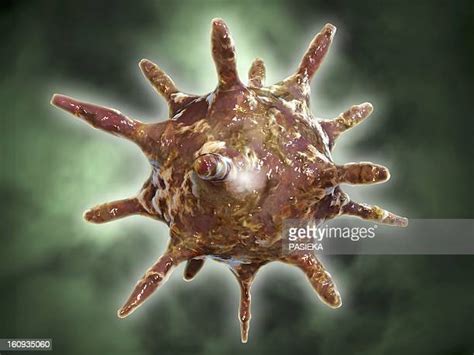 General Virus Infection Photos And Premium High Res Pictures Getty Images