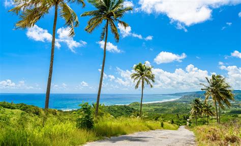 bajan paradise sightseeing shore excursion at the east coast of barbados