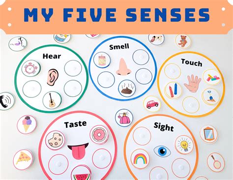 Toddler Five Senses Activities Sorting Learning Matching Etsy