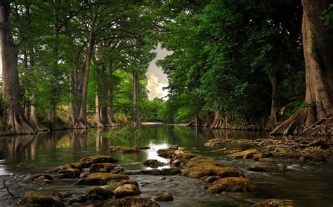 Forest River Wallpapers 4k Hd Forest River Backgrounds On Wallpaperbat
