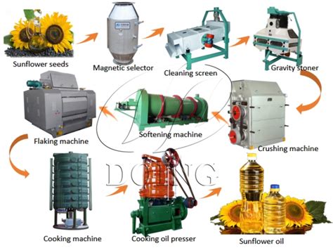 What Steps Are Involved In The Production Process Of Sunflower Oil