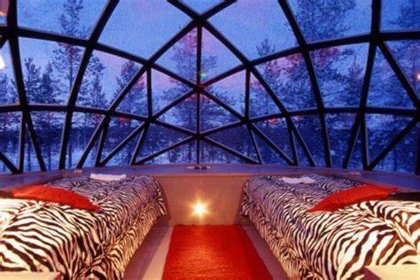 Thermal Glass Igloos Offer Views Of The Northern Lights At