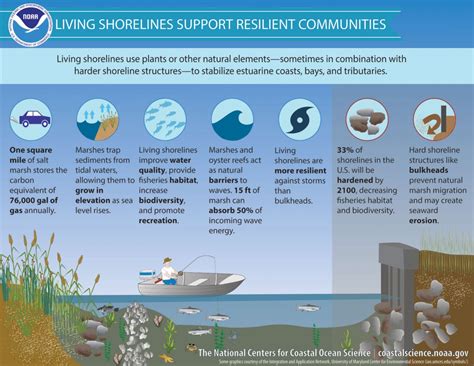 Living Shorelines Noaa Habitat Blueprint