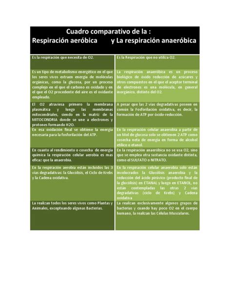 Cuadro Comparativo De La Respiracion Aerobia Y Anaerobia