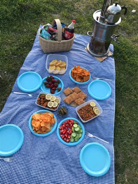 Picnic Blanket Outdoor Blanket Picnic Party Pizza Quick Picnic Birthday Blog Tips Make Up