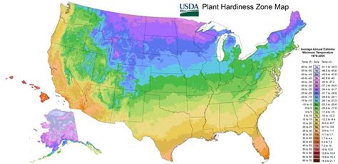 Usda Hardiness Zone Map Plant Hardiness Zone Map Planting Zones Map
