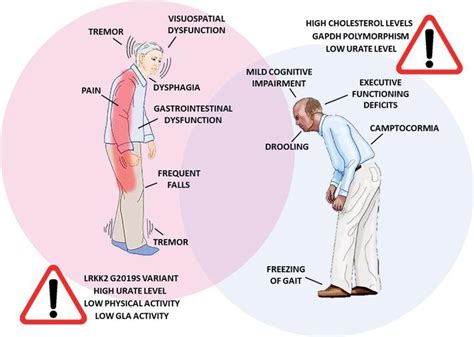 Our Parkinsons Place How And Why Does Parkinsons Disease Effect