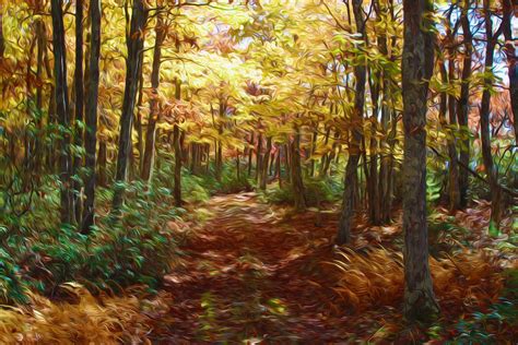 Forest Trail Painting By Lanjee Chee