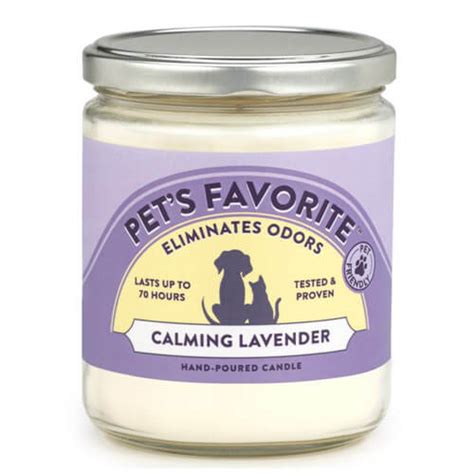 One of the best odor eliminating candles to use for your home is from specialty pet products. These are 9 Best Odor Eliminating Candles For Home in 2020