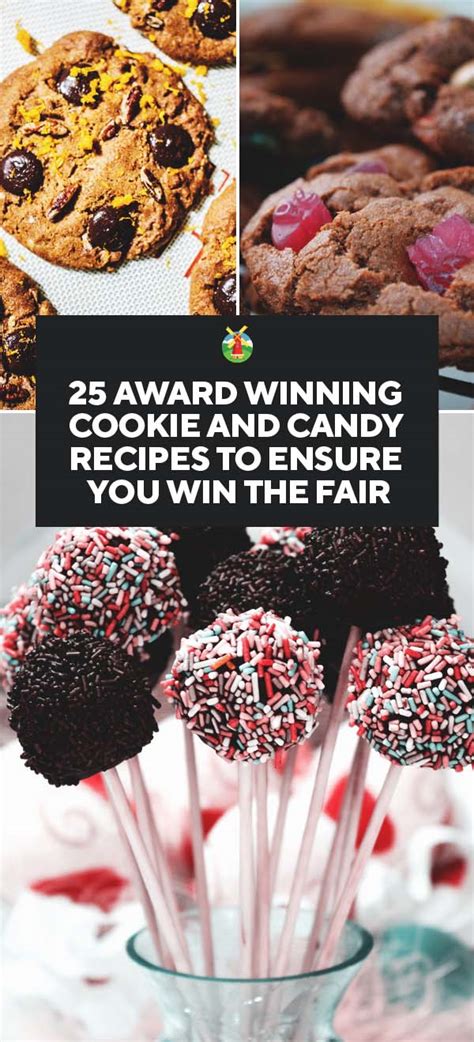 25 Award Winning Cookie And Candy Recipes To Ensure You Win The Fair