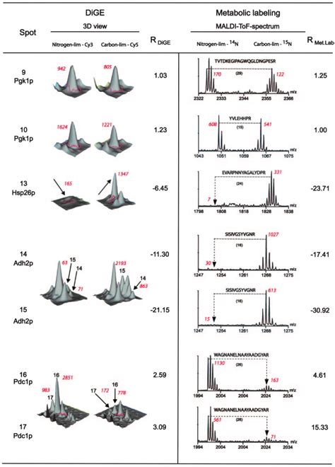 Typical Examples Of Relative Protein Quantification By Dige And