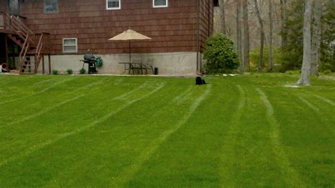 Central ct lawn service was founded in 1990 by gary and dave degroff. Lawn Care Solutions | Connecticut