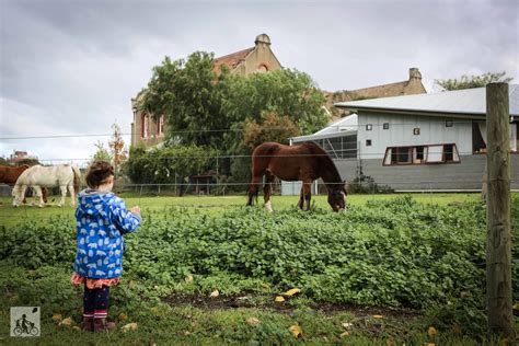 collingwood children's farm, abbotsford — mamma knows east