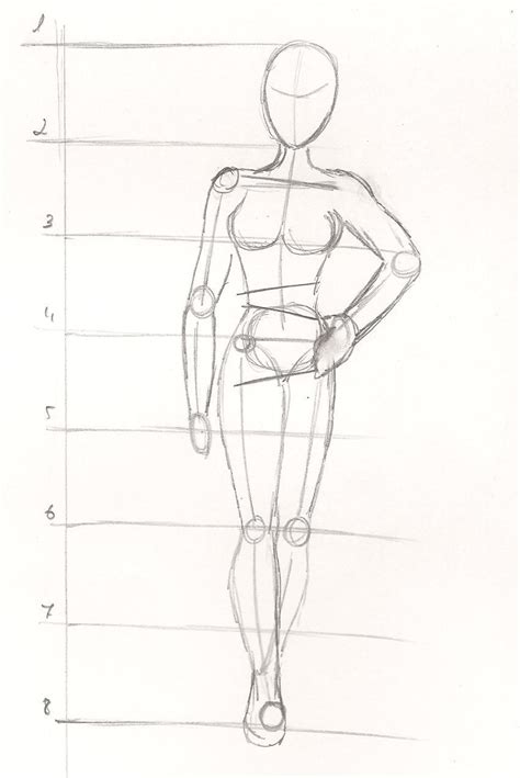 Pin De Inua Grupo En Bocetos De Anatomia Tutoriales De Dibujo Cuerpo
