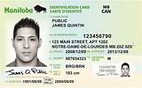 Renew Michigan Drivers License Out Of State Images